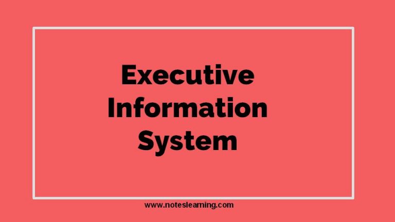 executive-information-system-ppt-notes-learning