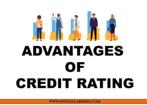 advantages of credit rating