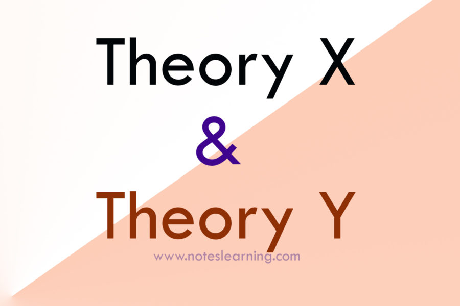 theory X & theory Y