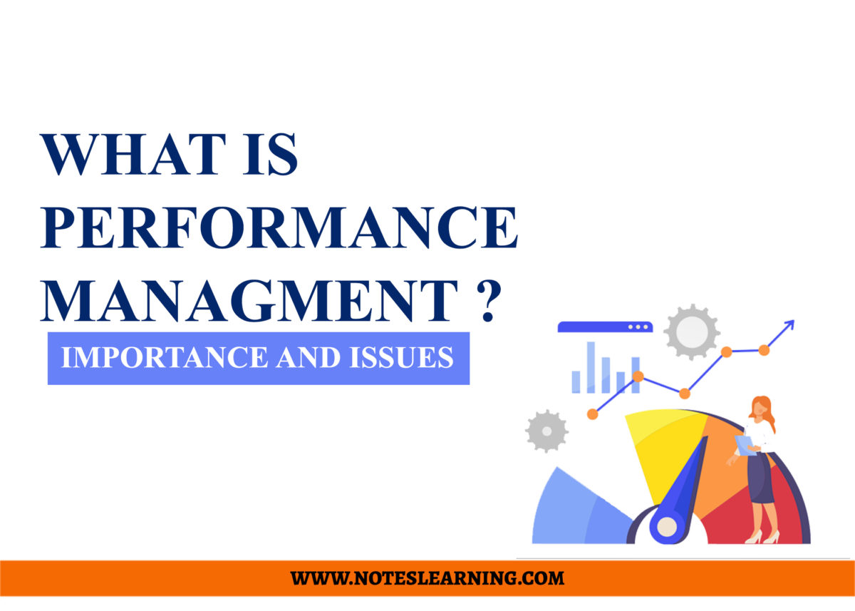ISSUES WITH PERFORMANCE MANAGEMENT