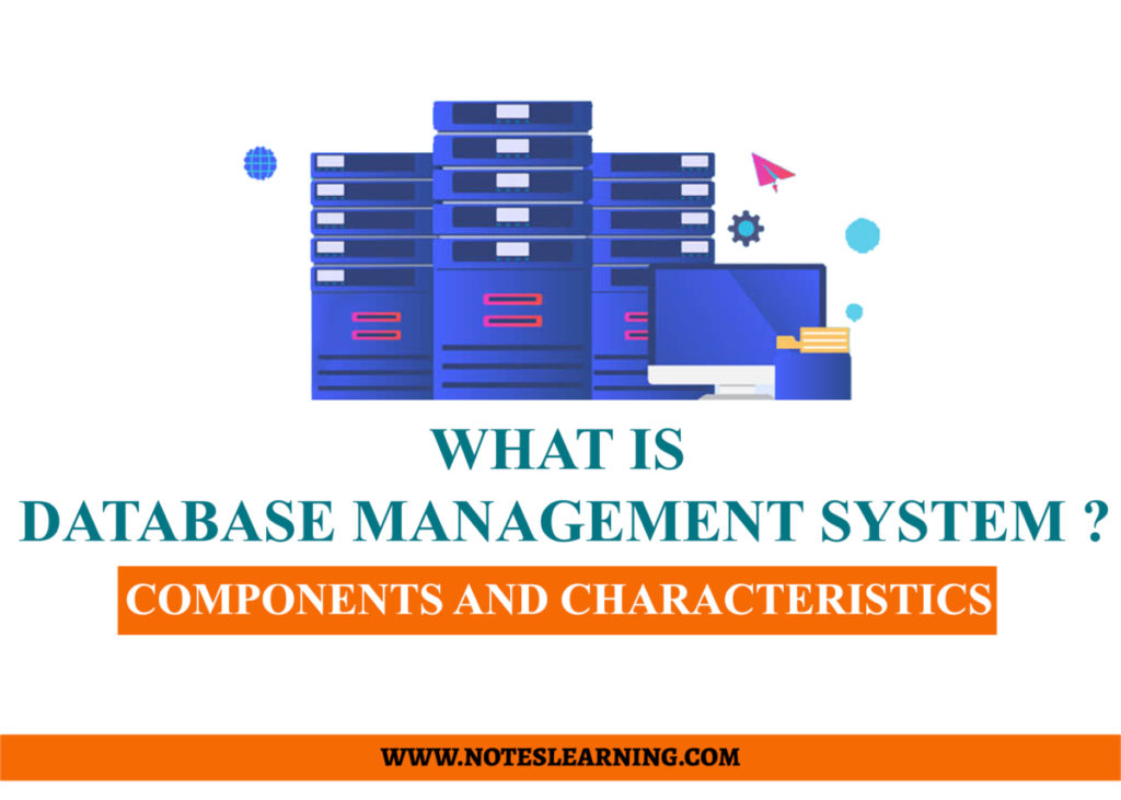 database-management-system-components-and-characteristics